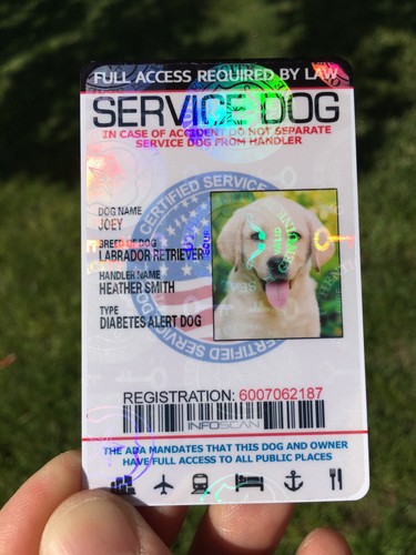 Service dog card - dog, 🐶