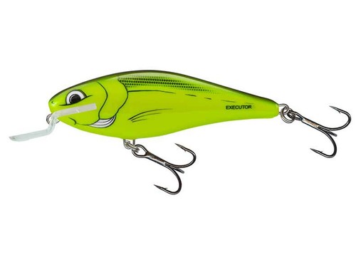 Salmo executor iex5sr 5 - salmo,