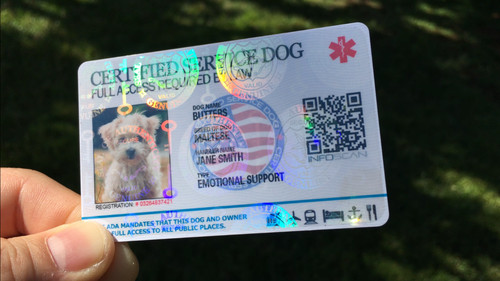 Holographic service dog - dog, id